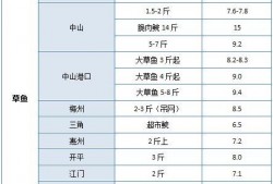 6月份骗局爆料视频大全