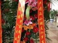 花篮网爆料最新消息