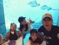 阿凯前妻爆料离婚视频,视频揭露惊人真相